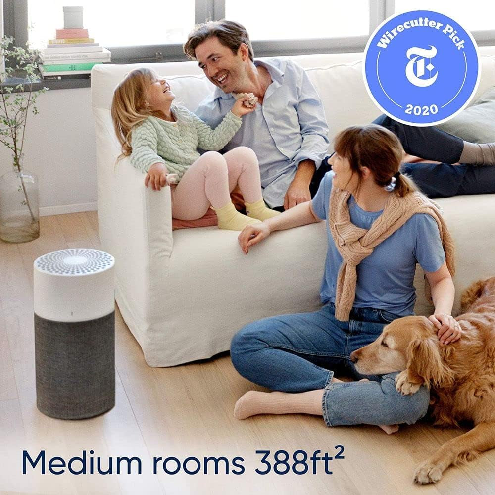 Bedroom Air Purifier, Air Cleaner Dust Pet Dander Smoke Mold Pollen Bacteria Virus Allergen, Odor Removal, for Home Office Kitchen, Washable Pre Filter, Hepasilent, Medium Room, Blue 311 Auto